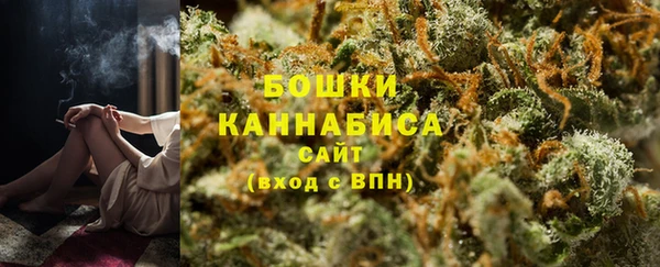 молекула духа Арсеньев