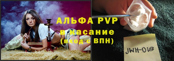 дмт Абаза