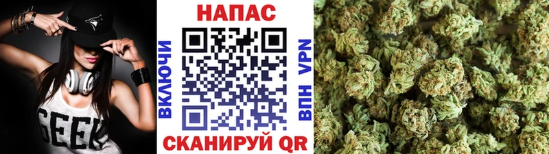 где найти Томари Шишки марихуана OG Kush